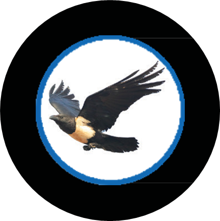 Chepkungurwet Foundation Logo